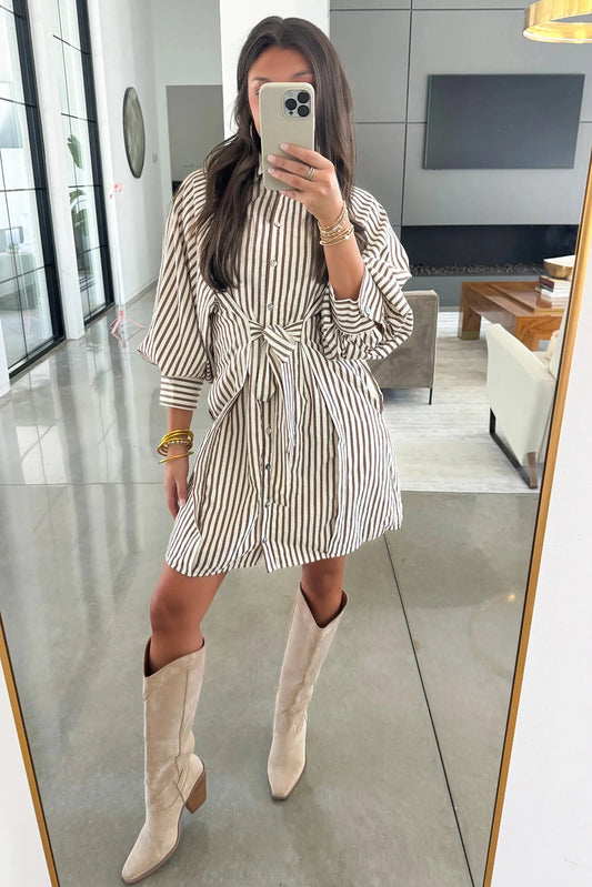 Cocoa Stripe Mini Shirt Dress